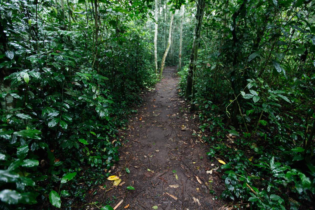 Walking the 5km BLUE TRAIL