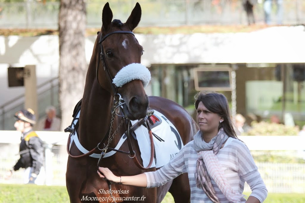 Photos Auteuil 18-10-2014 IMG_4735