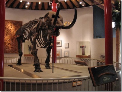 IMG_0290 American Mastodon Skeleton at the Oregon Zoo in Portland, Oregon on November 10, 2009