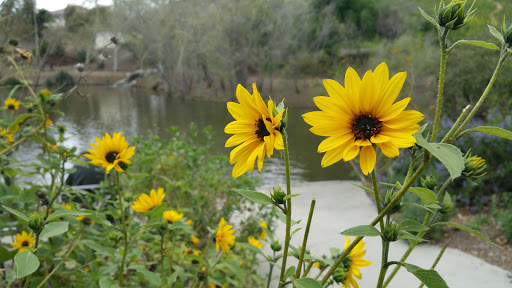 Nature Preserve «Mary Vagle Nature Center», reviews and photos, 11501 Cypress Ave E, Fontana, CA 92337, USA