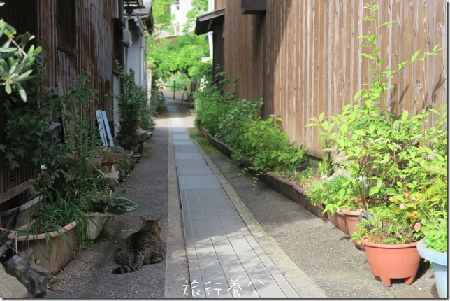 廣島 竹原 竹原老街 (77)