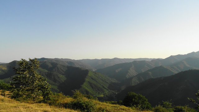 DSC03386.JPG
