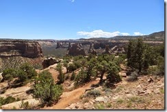 Colorado National Monument-015