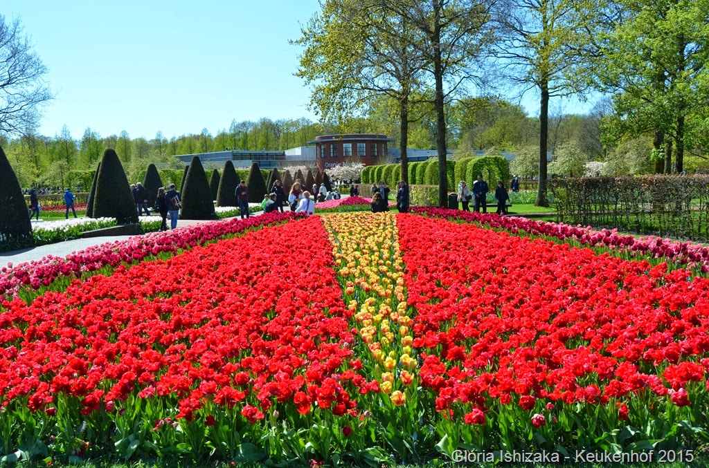 [Gl%25C3%25B3ria%2520Ishizaka%2520-%2520Keukenhof%25202015%2520-%25208%255B2%255D.jpg]