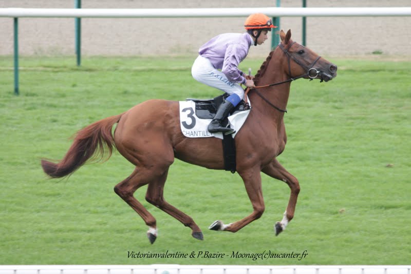 Photos Chantilly 12-07-2015 IMG_2946