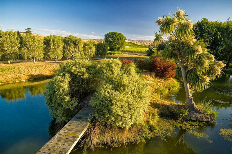 Immagine principale di Omaka Springs Estates