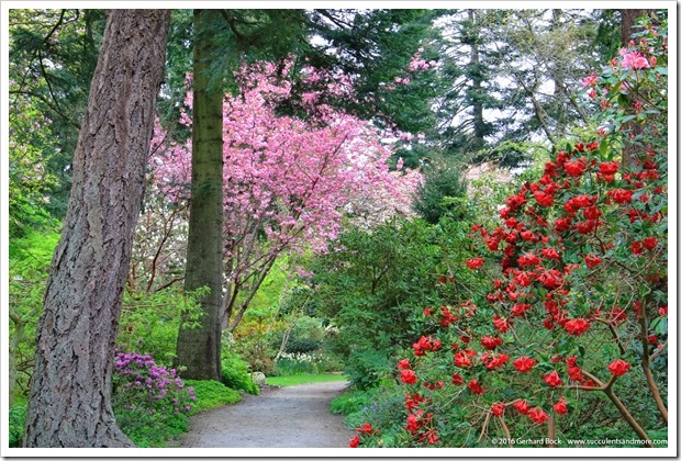 160410_Victoria_UVic_FinnertyGardens_0052