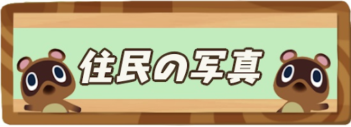 写真の入手条件ともらえない時の対処法