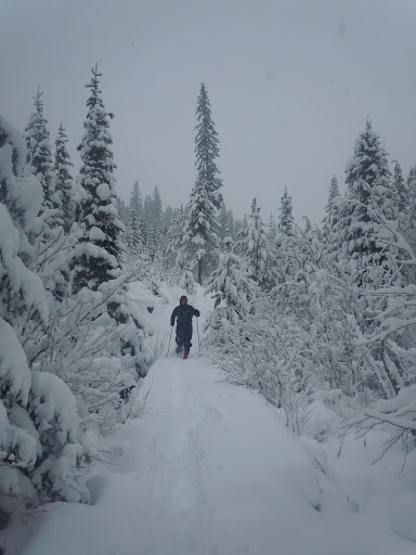 snow bridge