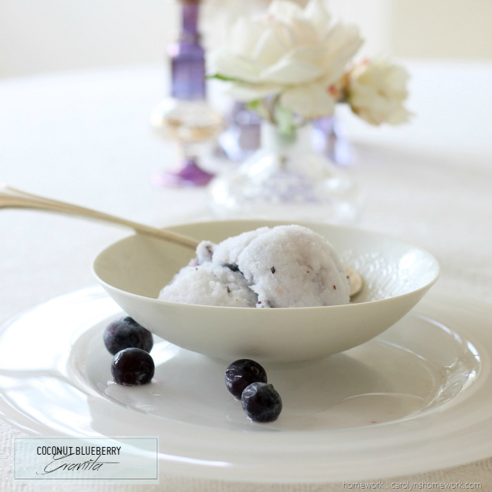 Coconut Blueberry Granita (homework - carolynshomework (9)