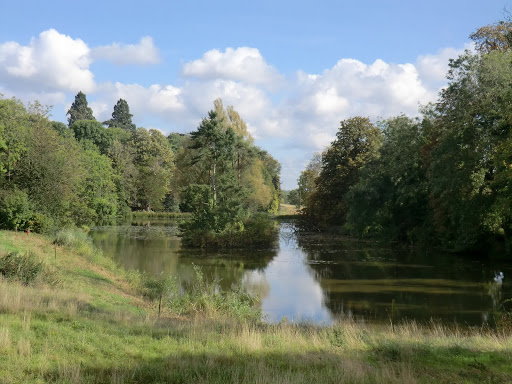 CIMG5096 Hop Garden Pond, Gatton Park