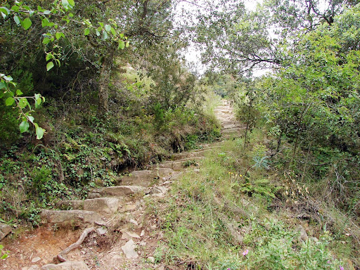 Senderismo: Barranco de Aguas Negras