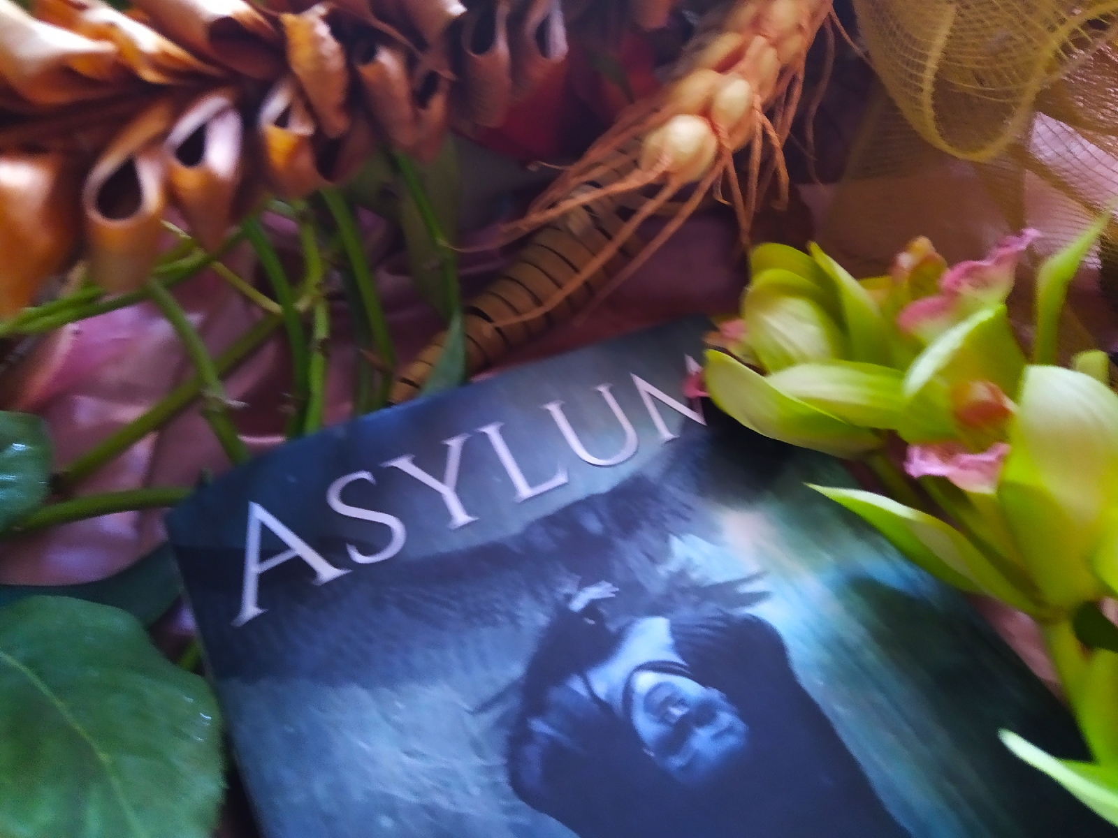 Asylum Ophelia Hargreaves Chronicles By Vera Winters Goodreads