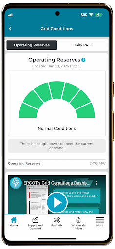 Screenshot ERCOT