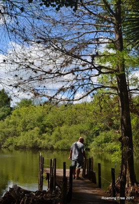 Looking for gators