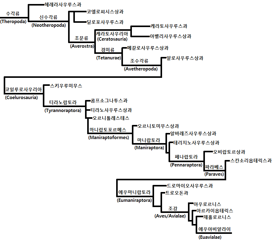 파일:attachment/용반목/수각류(1).png