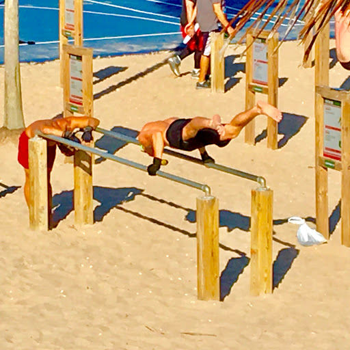 Gym «Calisthenics Park Fort Lauderdale beach», reviews and photos, 700-790 S Fort Lauderdale Beach Blvd, Fort Lauderdale, FL 33316, USA