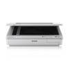 Download Epson DS-50000 printer driver