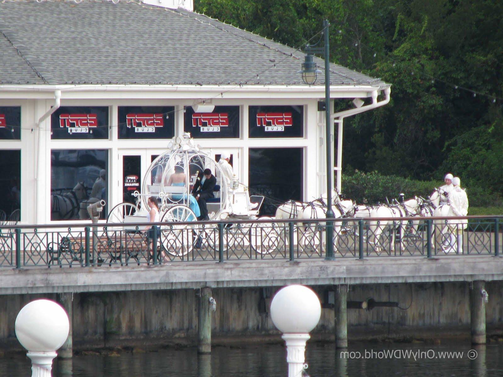 Magical Disney World Wedding