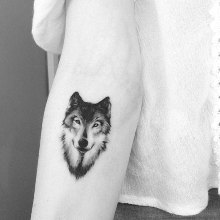 lobo_antebraço_tatuagem lobo_antebraço_tatuagem