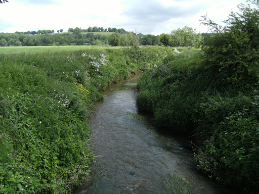 1006120007 River Medway