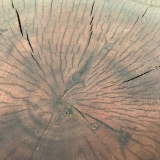 African Tree Stump Table