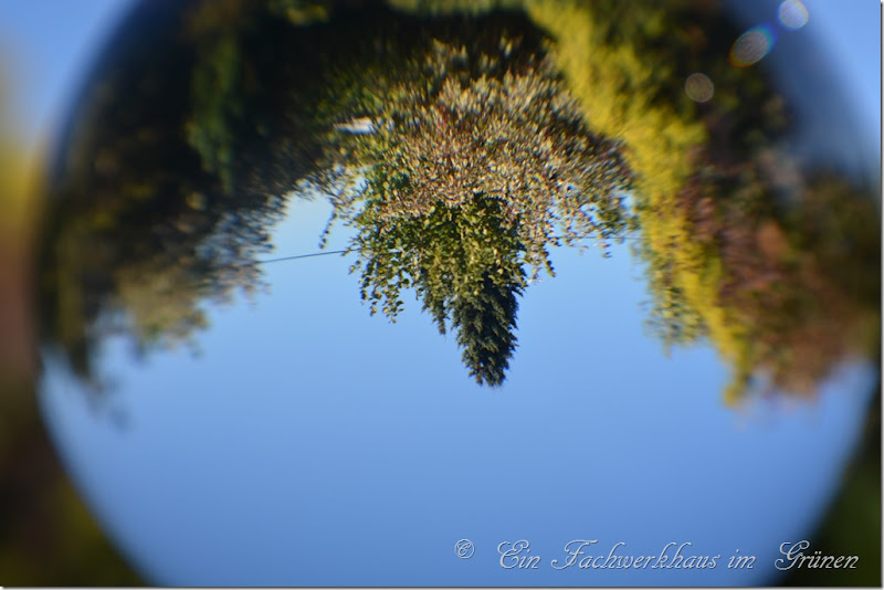 DSC_0646 DSC_0646
