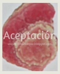 aceptación