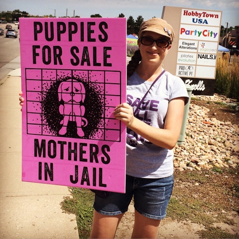 puppy mills animal welfare pet stores 