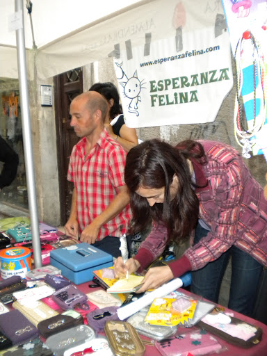 mercado - Esperanza Felina en "El Mercado de La Almendra" en Vitoria - Página 9 DSCN5542