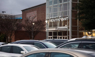 Streets at Southpoint mall puts gun-sniffing dog on patrol to keep firearms out