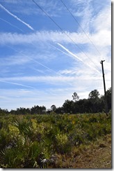 Contrails