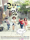 Movie Mèo Cưng, Em Ở Đâu - My Dear Cat (2014)