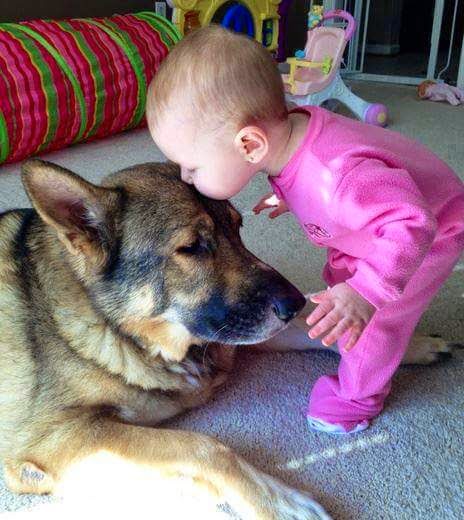 Very Cute Baby With Dog Pics For Share