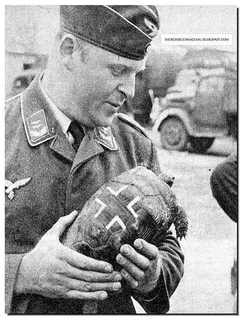 funny-pictures-ww2-humor-war-history-world-war-two-018