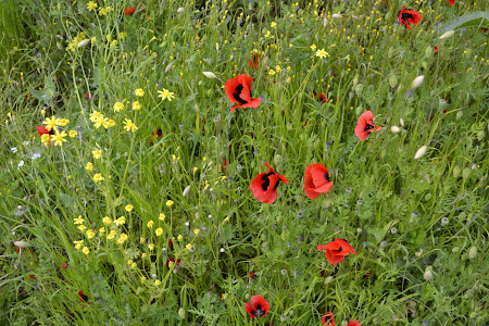 Армения: сокровища нации