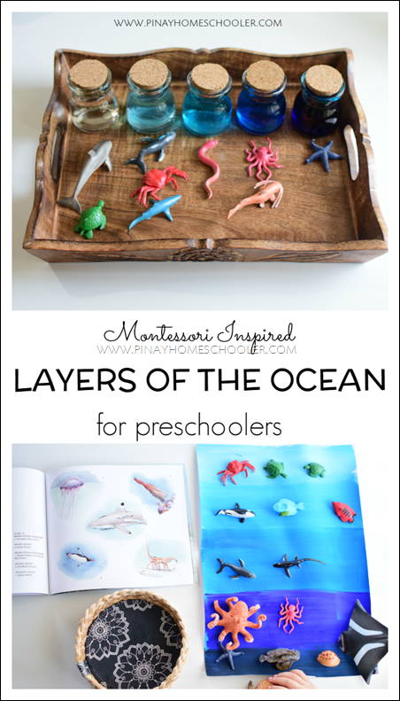 Montessori Inspired Layers of the Ocean for Preschoolers