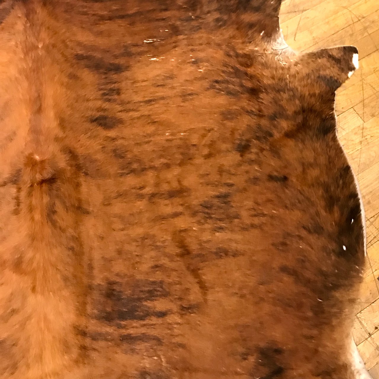 Cowhide Area Rug