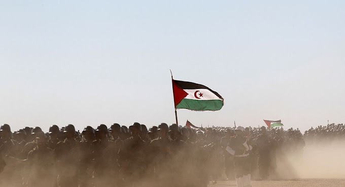 ¿Vientos internacionales a favor de la causa saharaui?