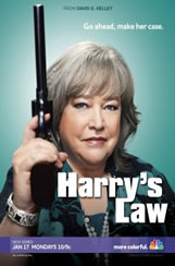 Harrys Law 2x17 Sub Español Online