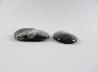 Crystalized Fossil Paperweight Pair