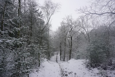 Photos of Huisartsenpraktijk Grote Waal