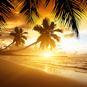 Google live wallpaper