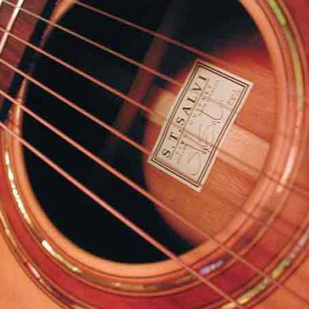 Salvi's Fine Guitars logo