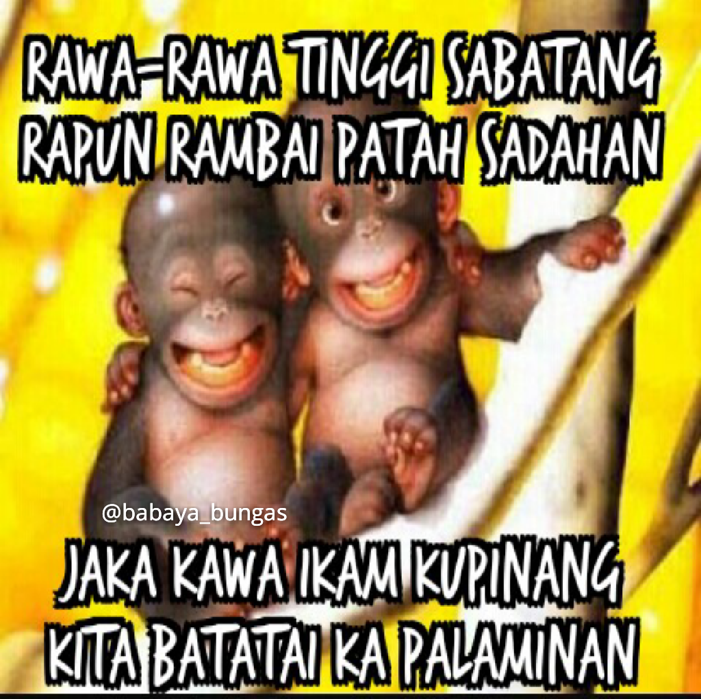 Gambar Lucu Bbanjar DP BBM Jomblo