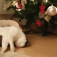 Il Natale mi distrugge... di 