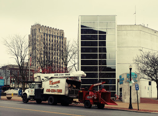 1st Choice Tree Service, LLC - Lima, OH