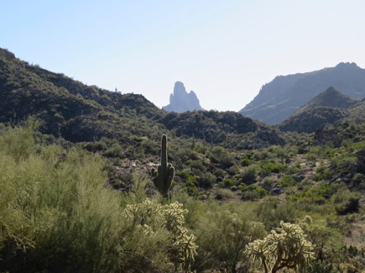 HikingtoTopofBlackTopMesa-33-2017-03-13-09-20.jpg