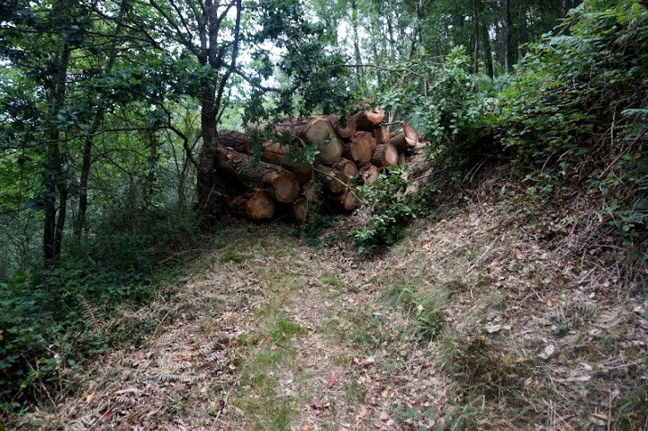 Ruta de los Ferreiros (Taramundi) - Descubriendo Asturias (20)