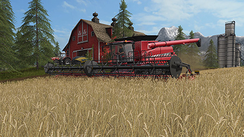 파일:external/media.farming-simulator.com/fruit-wheat1.jpg